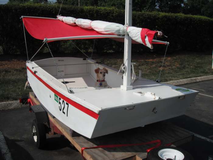 bimini shade on a pdracer