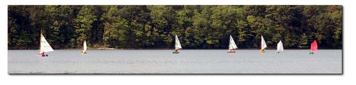 fleet of puddle duck racer sailboats